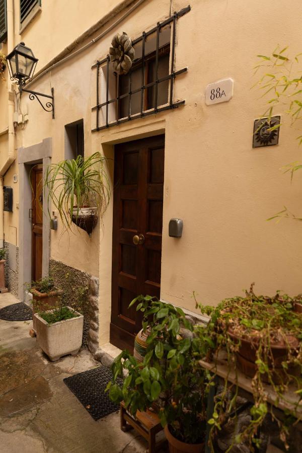 Vintage In The Center Of Apartamento