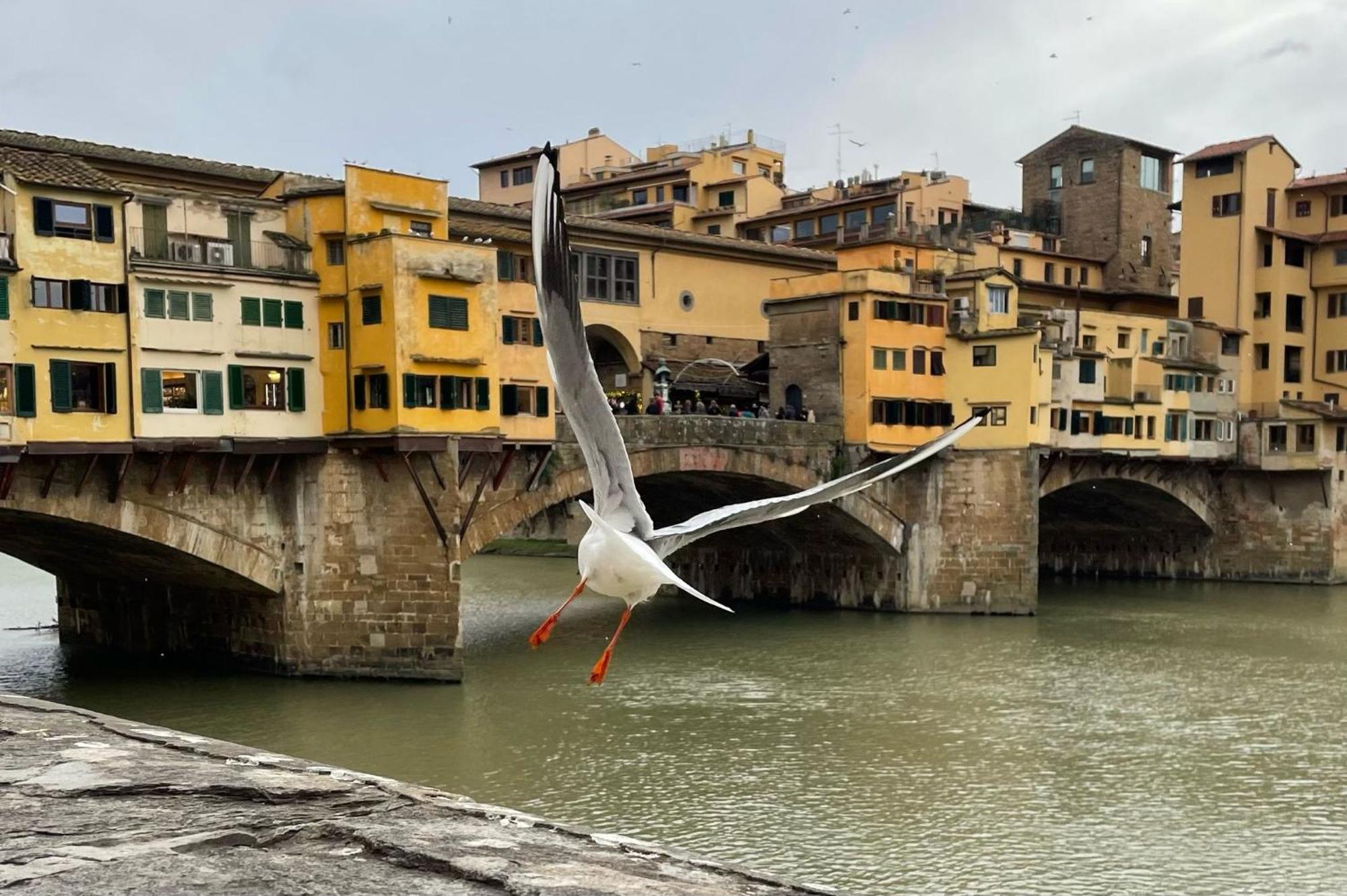Vintage In The Center Of Apartamento Florencia